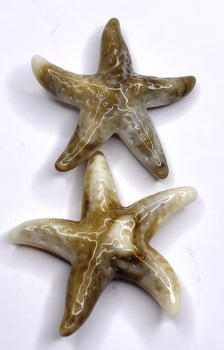 Estrela do Mar de Resina Cor Natural - 1 unidade